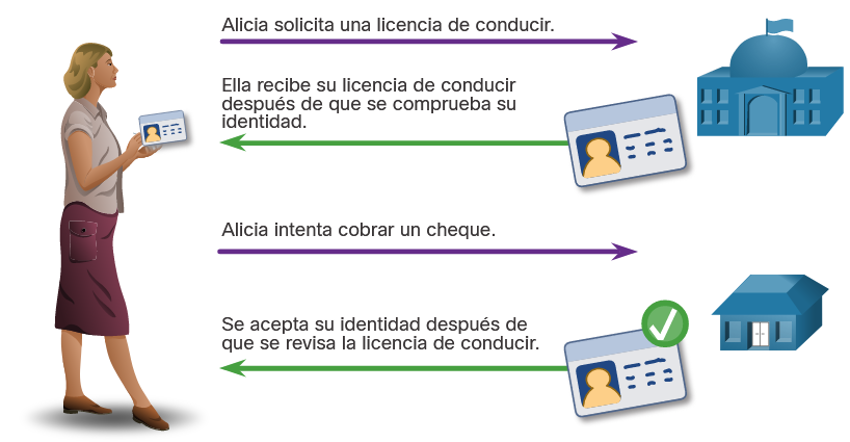 Analogía entre una licencia de conducir y un certificado digital.